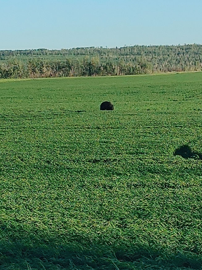 2021 Season photo 33